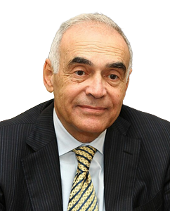 H.E. Ambassador Mohamed Kamel Amr mohamed