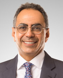 Prof. Dr. Hani Sarie-Eldin hani