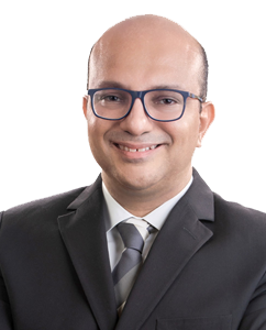 Prof. Dr. Ismail Selim ismail